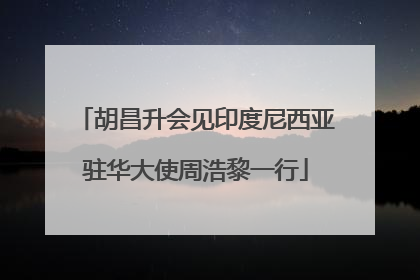 胡昌升会见印度尼西亚驻华大使周浩黎一行
