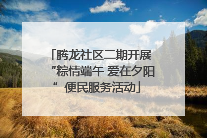 腾龙社区二期开展 “粽情端午 爱在夕阳”便民服务活动