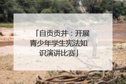 自贡贡井：开展青少年学生宪法知识演讲比赛