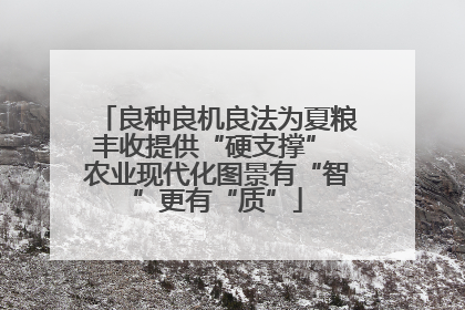 良种良机良法为夏粮丰收提供“硬支撑” 农业现代化图景有“智”更有“质”