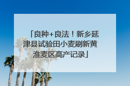 良种+良法！新乡延津县试验田小麦刷新黄淮麦区高产记录