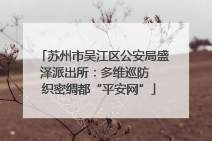 苏州市吴江区公安局盛泽派出所：多维巡防  织密绸都“平安网”