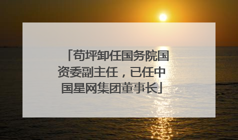 苟坪卸任国务院国资委副主任，已任中国星网集团董事长