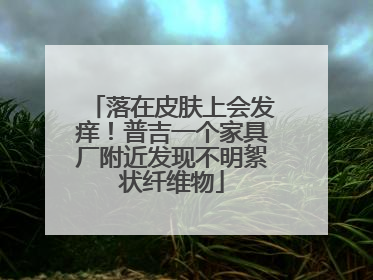 落在皮肤上会发痒！普吉一个家具厂附近发现不明絮状纤维物