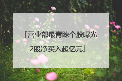营业部最青睐个股曝光 2股净买入超亿元