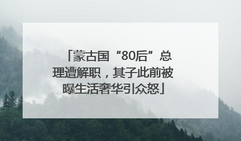 蒙古国“80后”总理遭解职，其子此前被曝生活奢华引众怒