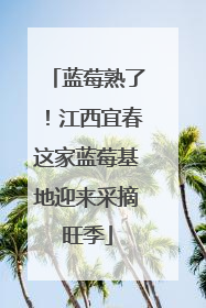 蓝莓熟了！江西宜春这家蓝莓基地迎来采摘旺季