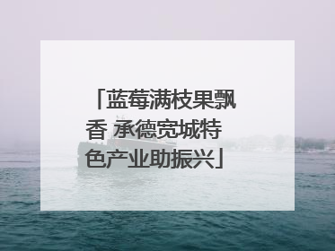蓝莓满枝果飘香 承德宽城特色产业助振兴