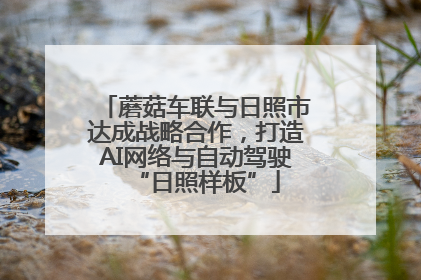 蘑菇车联与日照市达成战略合作，打造AI网络与自动驾驶“日照样板”
