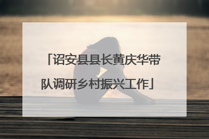 诏安县县长黄庆华带队调研乡村振兴工作