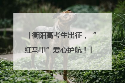 衡阳高考生出征，“红马甲”爱心护航！