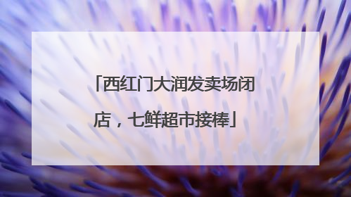 西红门大润发卖场闭店，七鲜超市接棒
