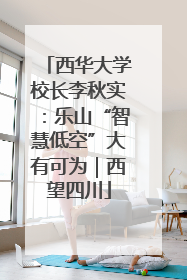 西华大学校长李秋实：乐山“智慧低空”大有可为｜西望四川