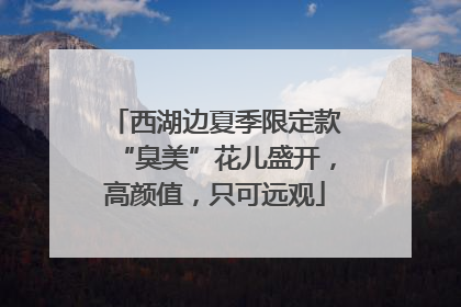西湖边夏季限定款“臭美”花儿盛开，高颜值，只可远观