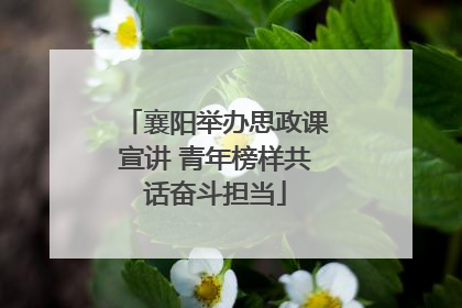 襄阳举办思政课宣讲 青年榜样共话奋斗担当