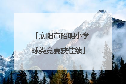 襄阳市昭明小学球类竞赛获佳绩