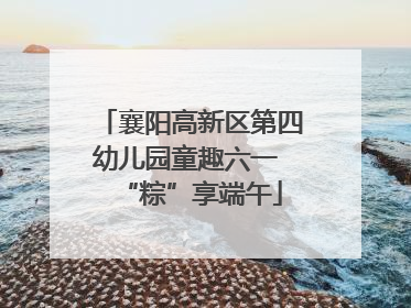 襄阳高新区第四幼儿园童趣六一 “粽”享端午