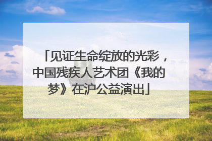 见证生命绽放的光彩，中国残疾人艺术团《我的梦》在沪公益演出
