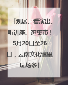 观展、看演出、听讲座、逛集市！5月20日至26日，云南文化馆里玩场多