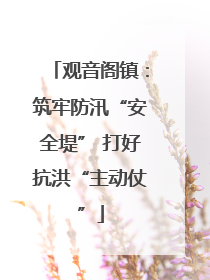 观音阁镇：筑牢防汛“安全堤” 打好抗洪“主动仗”