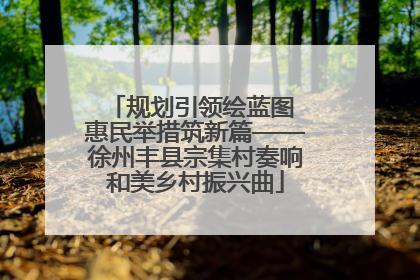 规划引领绘蓝图 惠民举措筑新篇——徐州丰县宗集村奏响和美乡村振兴曲