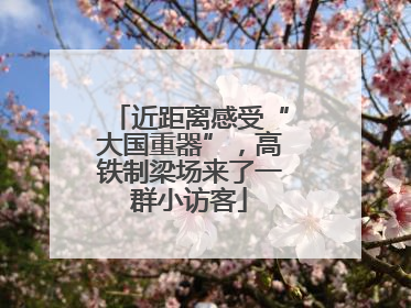 近距离感受“大国重器”，高铁制梁场来了一群小访客