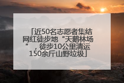 近50名志愿者集结网红徒步地“天鹅林场”，徒步10公里清运150余斤山野垃圾