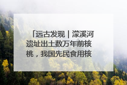 远古发现｜濛溪河遗址出土数万年前核桃，我国先民食用核桃历史大幅提前