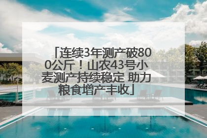 连续3年测产破800公斤！山农43号小麦测产持续稳定 助力粮食增产丰收