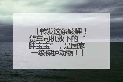 转发这条鲮鲤！货车司机救下的“胖宝宝”，是国家一级保护动物！