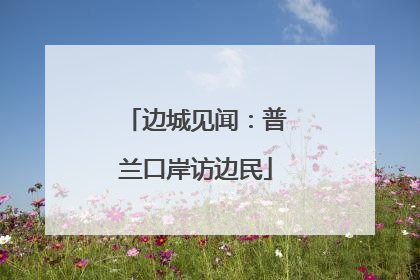 边城见闻：普兰口岸访边民