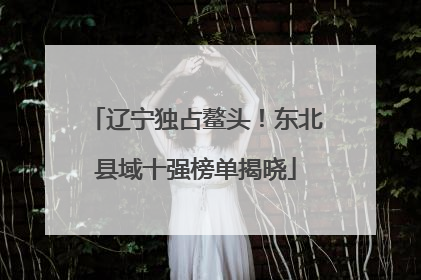 辽宁独占鳌头！东北县域十强榜单揭晓