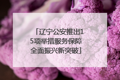 辽宁公安推出15项举措服务保障全面振兴新突破