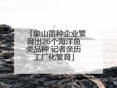 象山苗种企业繁育出26个海洋鱼类品种 记者亲历工厂化繁育