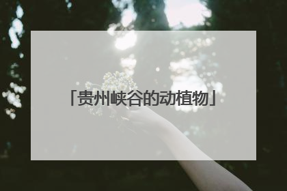 贵州峡谷的动植物