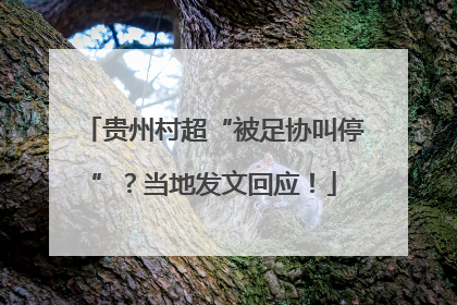贵州村超“被足协叫停”？当地发文回应！