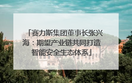 赛力斯集团董事长张兴海：期望产业链共同打造智能安全生态体系