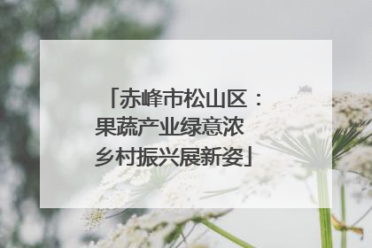 赤峰市松山区：果蔬产业绿意浓 乡村振兴展新姿
