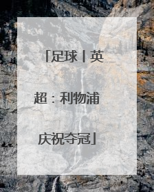 足球丨英超：利物浦庆祝夺冠