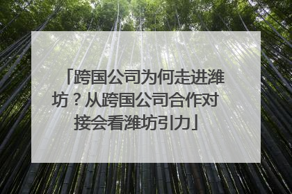跨国公司为何走进潍坊？从跨国公司合作对接会看潍坊引力