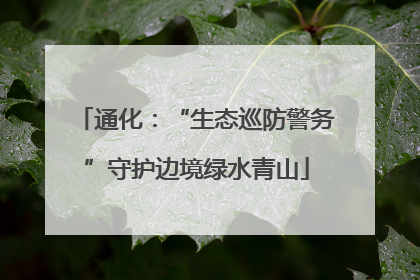 通化：“生态巡防警务”守护边境绿水青山