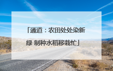 通道：农田处处染新绿 制种水稻移栽忙