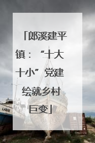 郎溪建平镇：“十大十小”党建 绘就乡村巨变