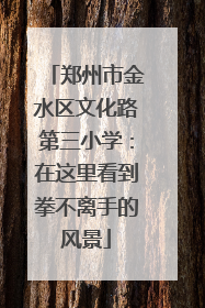 郑州市金水区文化路第三小学：在这里看到拳不离手的风景