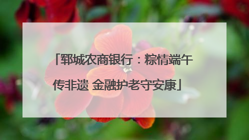 郓城农商银行：粽情端午传非遗 金融护老守安康