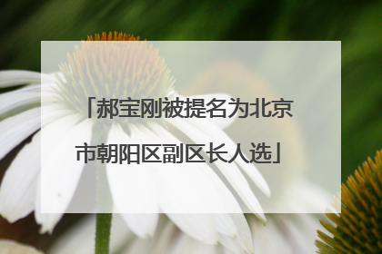 郝宝刚被提名为北京市朝阳区副区长人选