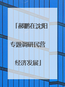 郝鹏在沈阳专题调研民营经济发展
