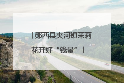 郧西县夹河镇茉莉花开好“钱景”