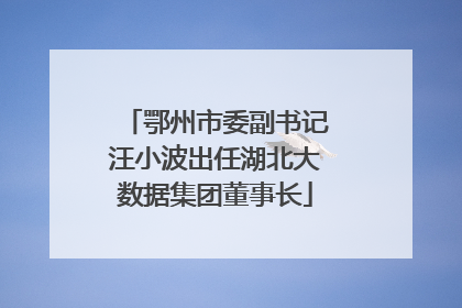 鄂州市委副书记汪小波出任湖北大数据集团董事长