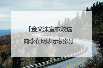 金文洙宣布败选 向李在明表示祝贺
